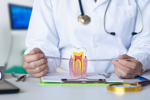 Best Emergency Root Canal Treatment in West Chicago, IL